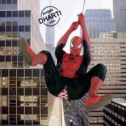 funny spiderman punjabidharti com