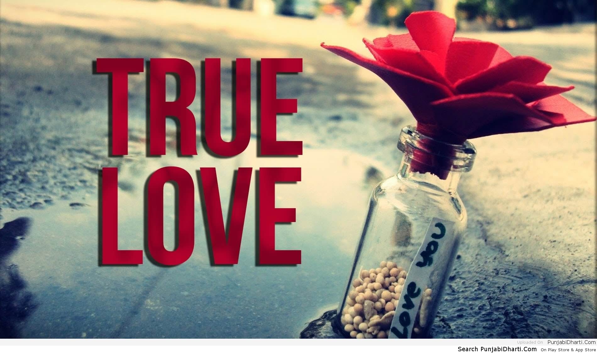 Found true love. True Love. Картинка true Love. True Love Телеканал. Картинки косметика красиво.