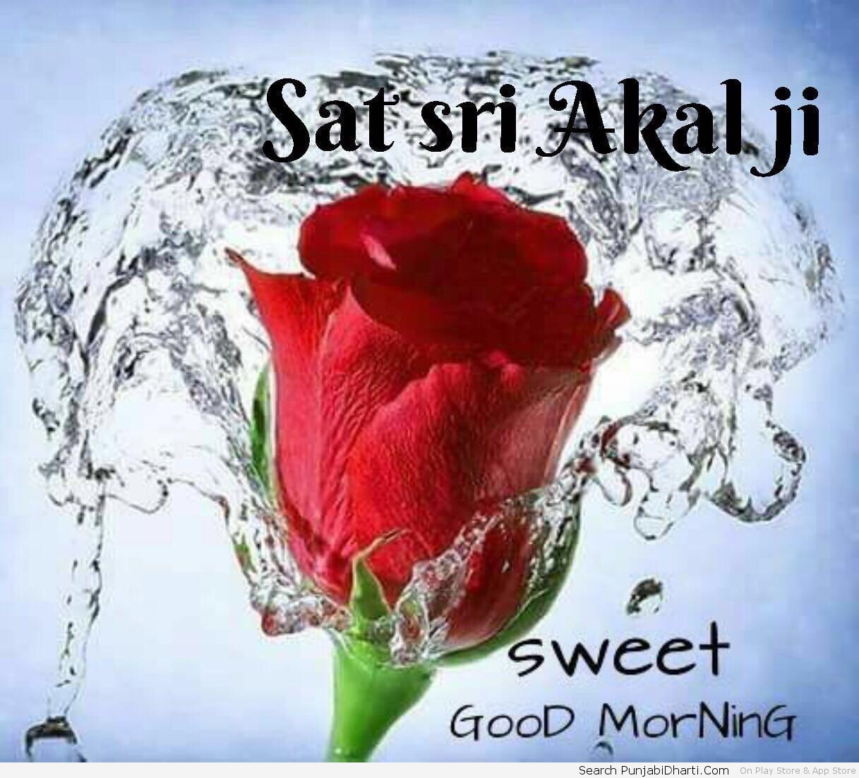 Good Morning Graphics Images For Facebook Whatsapp Twitter